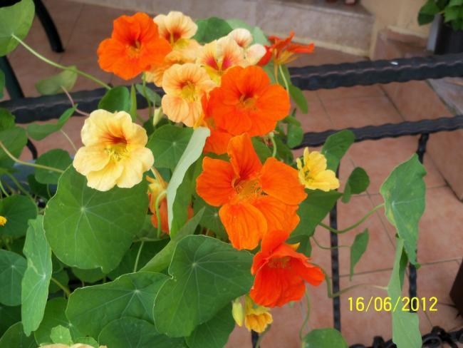 Name:  100_5543.jpg
Views: 660
Size:  43.5 KB