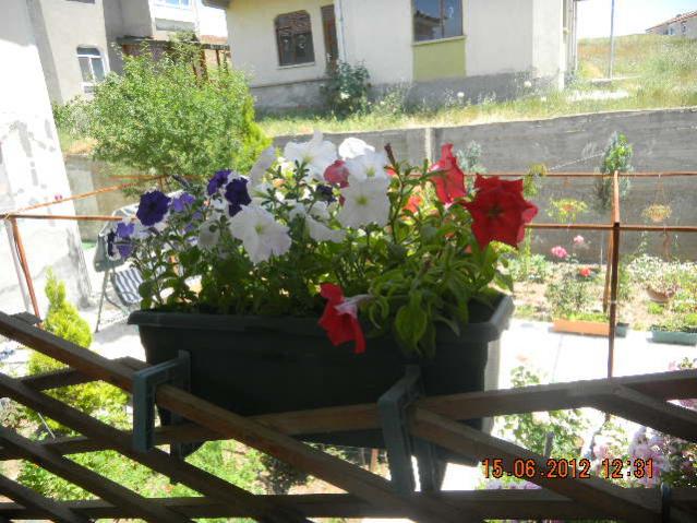 Name:  DSCN1409.jpg
Views: 750
Size:  61.1 KB
