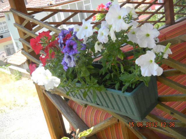 Name:  DSCN1426.jpg
Views: 713
Size:  58.6 KB