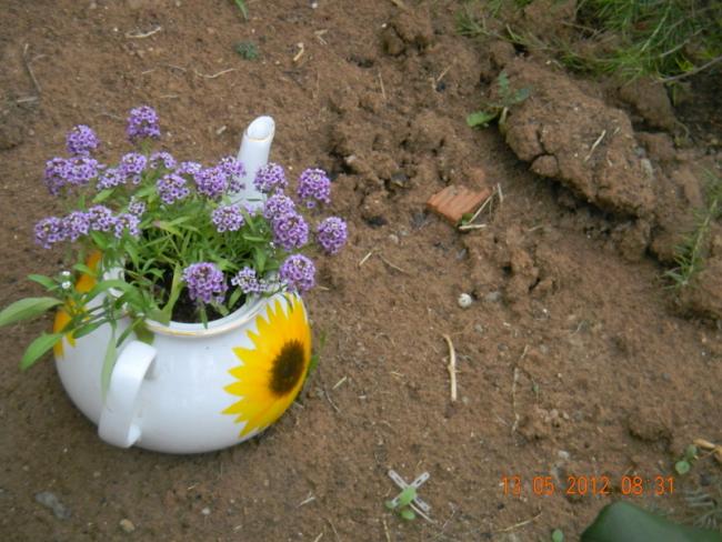 Name:  DSCN1053.jpg
Views: 754
Size:  56.3 KB