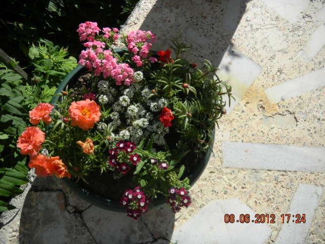 Name:  DSCN1340.jpg
Views: 745
Size:  65.7 KB