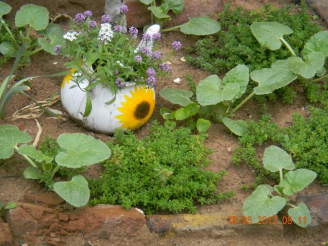 Name:  DSCN1252.jpg
Views: 760
Size:  61.4 KB