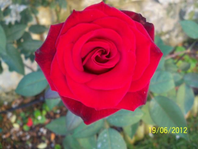 Name:  100_6242.jpg
Views: 621
Size:  31.1 KB