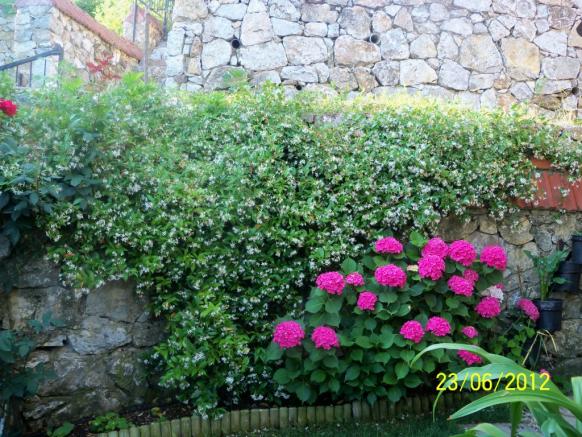 Name:  100_6659.jpg
Views: 599
Size:  72.3 KB