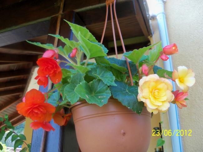 Name:  100_6840.jpg
Views: 607
Size:  42.7 KB