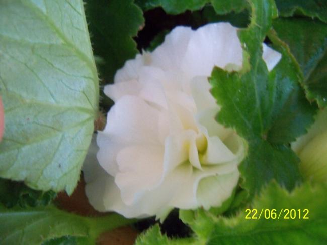 Name:  100_6487.jpg
Views: 564
Size:  30.0 KB