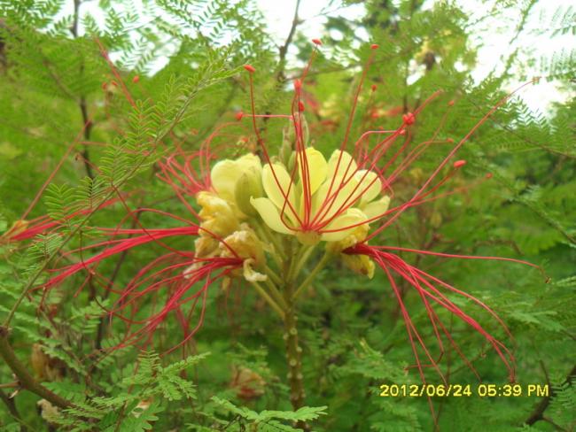 Name:  079.jpg
Views: 2463
Size:  59.4 KB