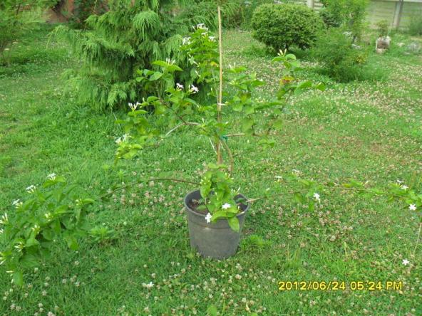 Name:  002.jpg
Views: 917
Size:  71.0 KB