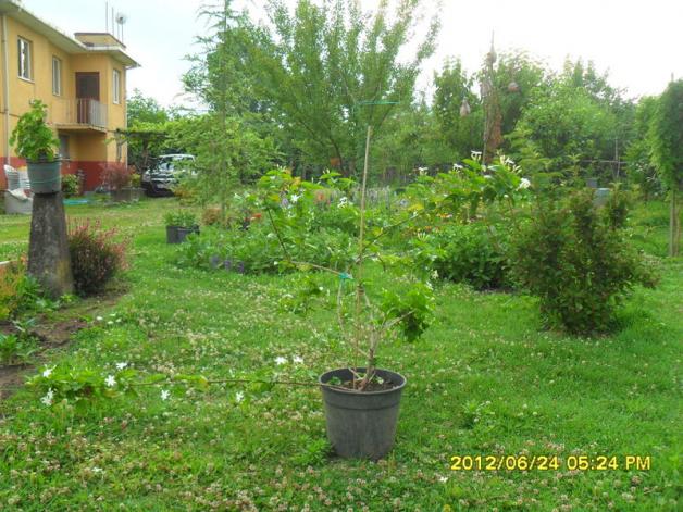 Name:  005.jpg
Views: 930
Size:  70.2 KB