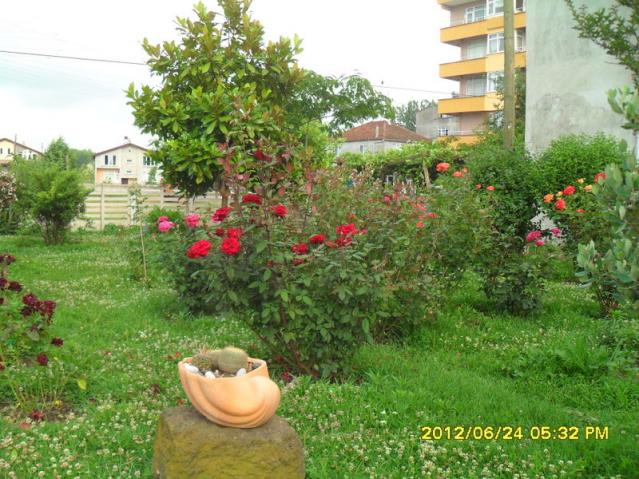 Name:  039.jpg
Views: 912
Size:  69.9 KB