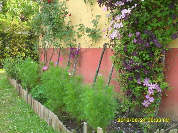 Name:  045.jpg
Views: 883
Size:  70.9 KB
