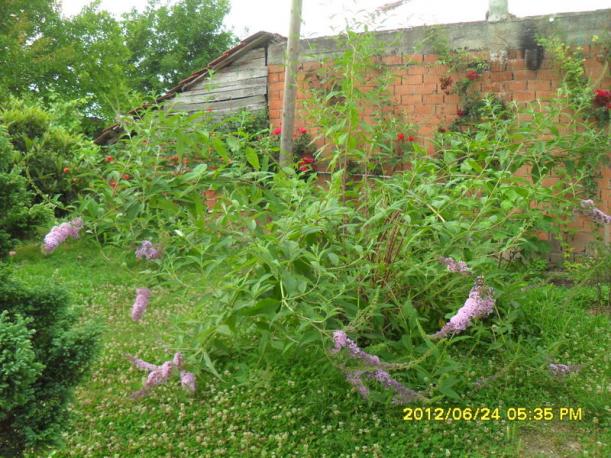 Name:  059.jpg
Views: 865
Size:  71.7 KB