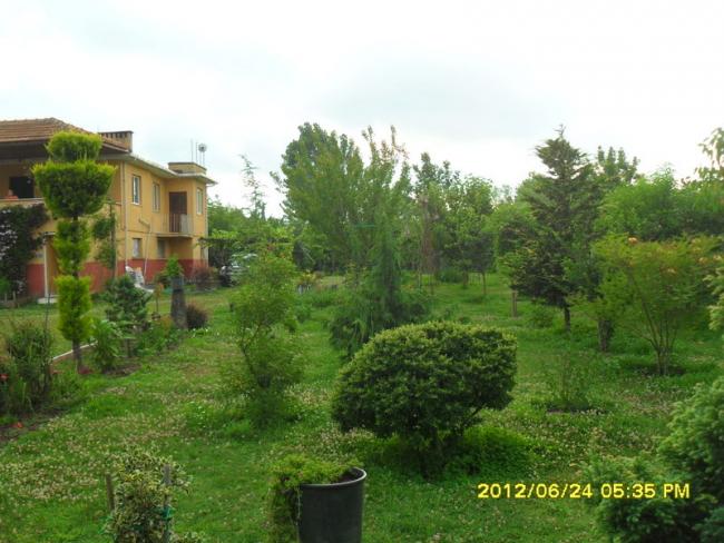Name:  060.jpg
Views: 879
Size:  52.5 KB