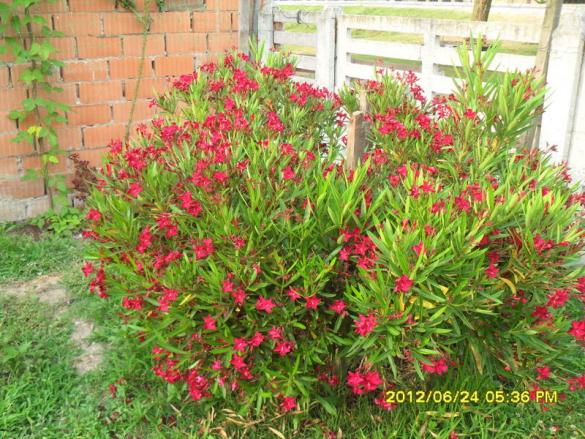 Name:  062.jpg
Views: 1703
Size:  72.3 KB