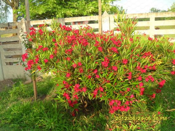 Name:  064.jpg
Views: 1790
Size:  72.5 KB