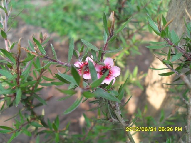 Name:  067.jpg
Views: 1098
Size:  46.1 KB