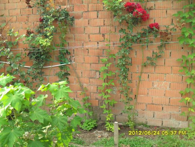 Name:  069.jpg
Views: 891
Size:  68.0 KB