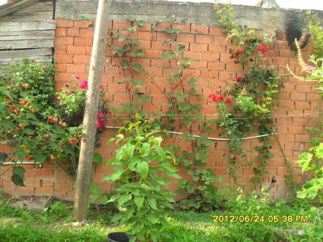 Name:  073.jpg
Views: 894
Size:  70.6 KB