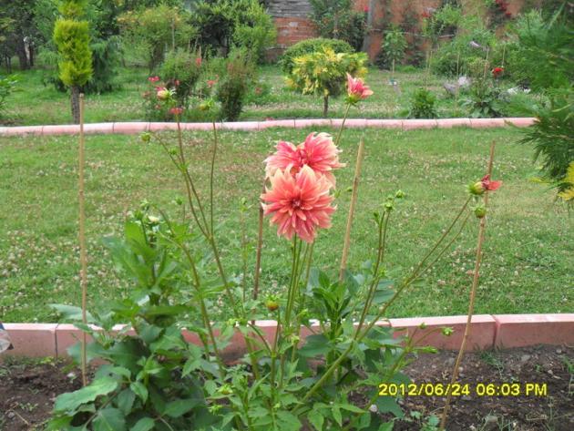 Name:  115.jpg
Views: 1012
Size:  70.7 KB