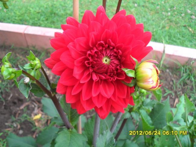 Name:  156.jpg
Views: 1013
Size:  47.5 KB