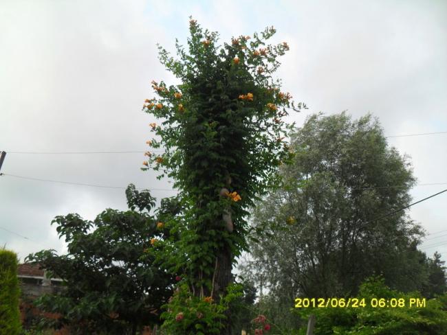 Name:  147.jpg
Views: 852
Size:  51.7 KB