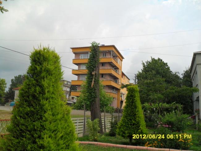 Name:  164.jpg
Views: 808
Size:  48.2 KB