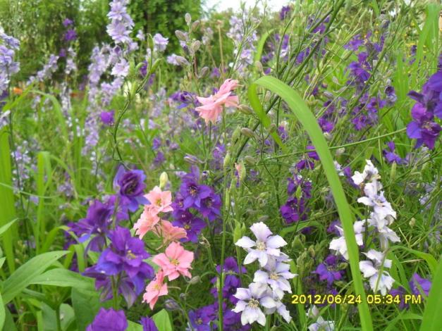 Name:  047.jpg
Views: 876
Size:  71.2 KB