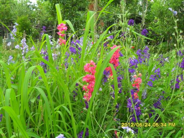 Name:  049.jpg
Views: 829
Size:  72.7 KB