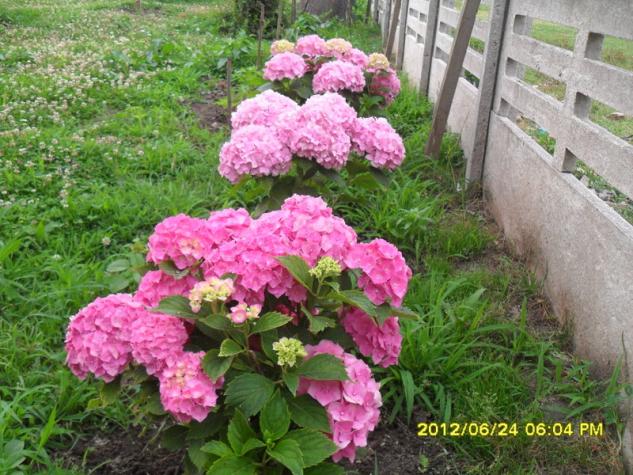 Name:  121.jpg
Views: 874
Size:  71.0 KB