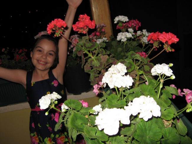 Name:  IMG_0695.jpg
Views: 866
Size:  46.7 KB