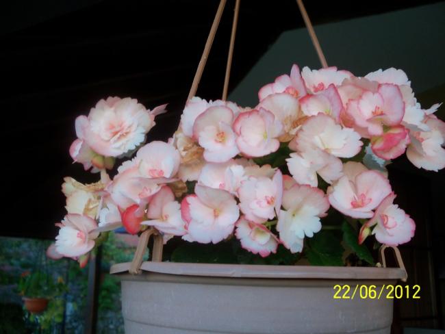Name:  100_6501.jpg
Views: 559
Size:  35.0 KB