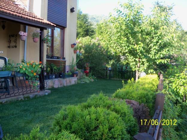 Name:  100_5836.jpg
Views: 582
Size:  70.7 KB