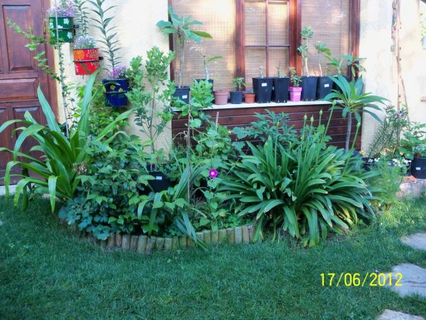 Name:  100_5821.jpg
Views: 588
Size:  70.6 KB