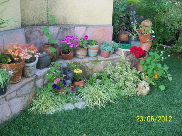 Name:  100_6706.jpg
Views: 608
Size:  70.7 KB