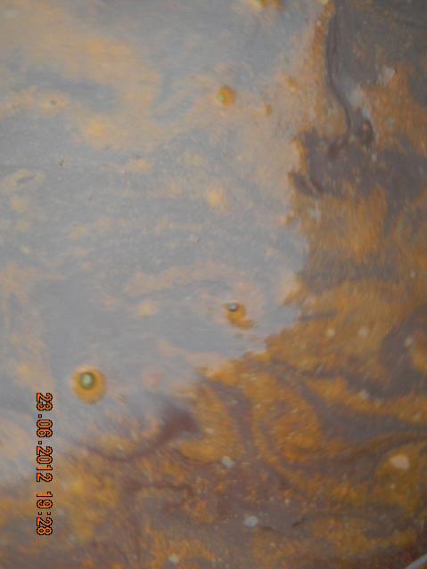 Name:  DSCN1770.jpg
Views: 703
Size:  25.9 KB