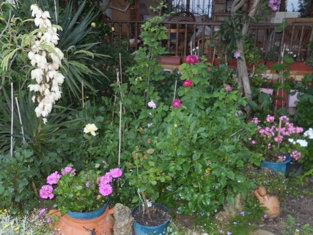Name:  DSCF3334.jpg
Views: 570
Size:  67.4 KB