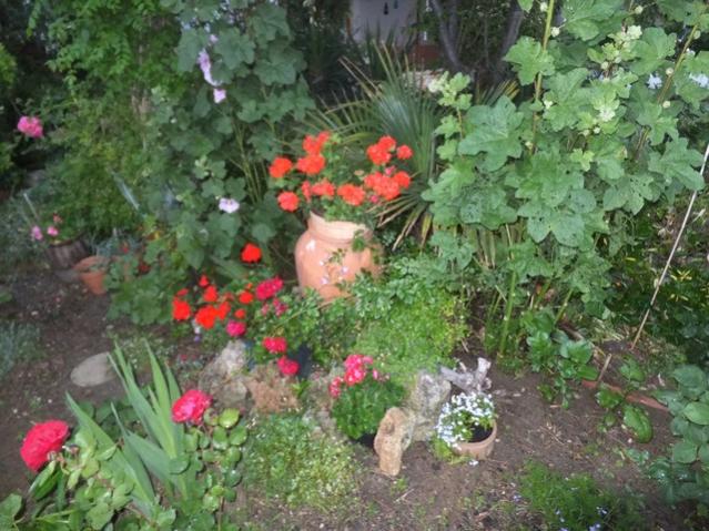 Name:  DSCF3343.jpg
Views: 528
Size:  64.8 KB