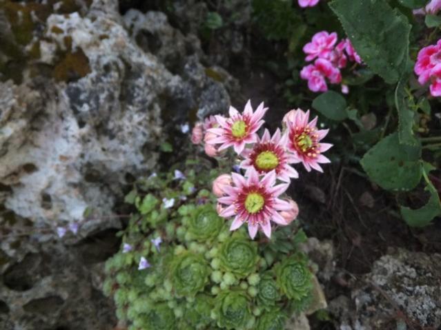 Name:  DSCF3359.jpg
Views: 583
Size:  47.0 KB