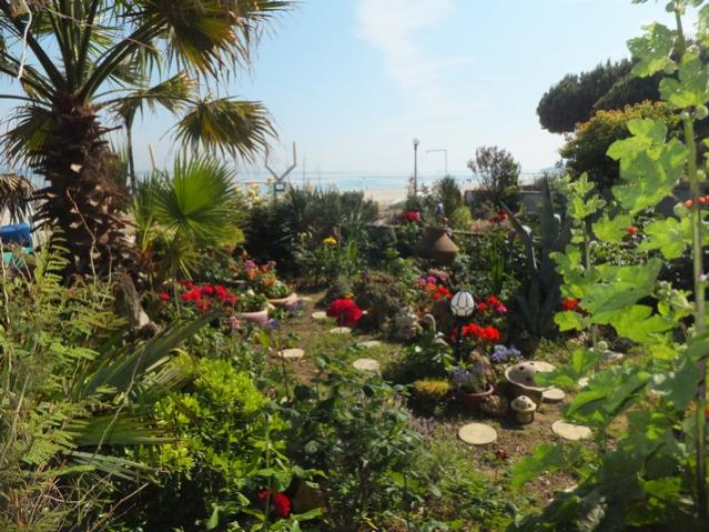 Name:  DSCF3380.jpg
Views: 615
Size:  69.1 KB