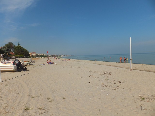Name:  DSCF3386.jpg
Views: 633
Size:  60.9 KB