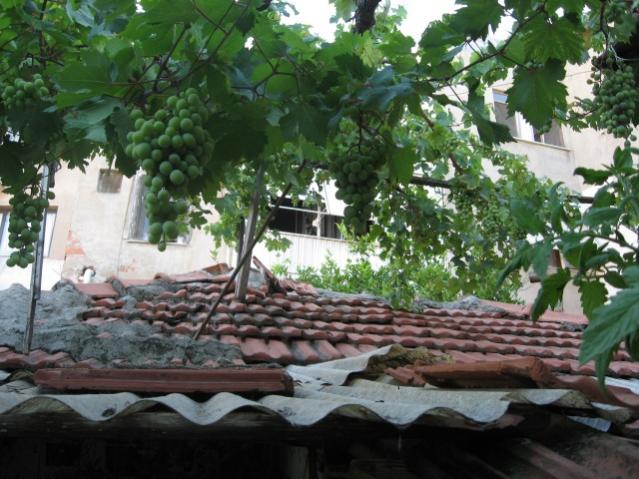 Name:  IMG_1988.jpg
Views: 667
Size:  60.3 KB