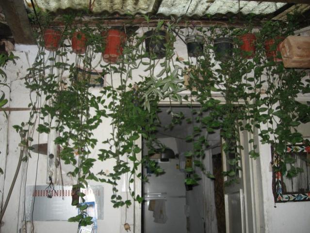 Name:  IMG_2001.jpg
Views: 670
Size:  63.5 KB