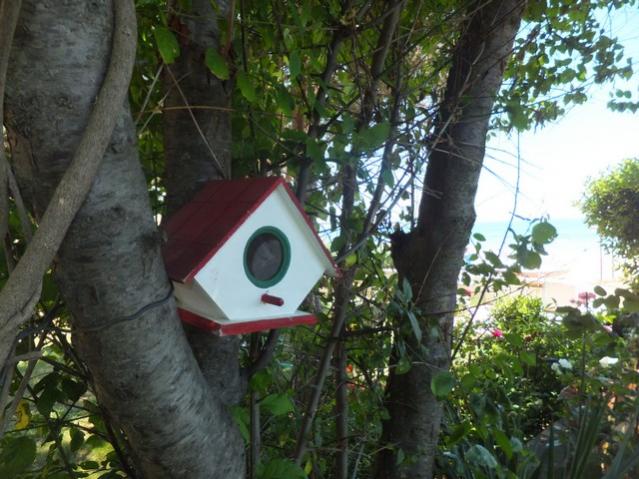 Name:  DSCF3697.jpg
Views: 581
Size:  58.7 KB