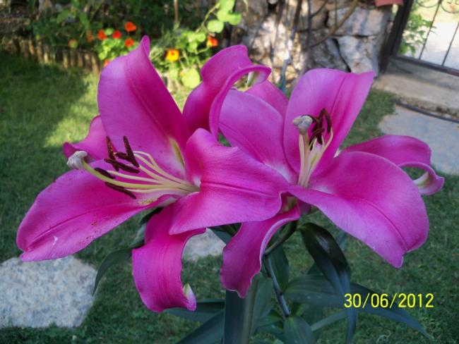 Name:  100_7634.jpg
Views: 527
Size:  49.9 KB