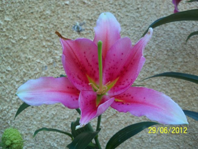 Name:  100_7364.jpg
Views: 521
Size:  48.4 KB