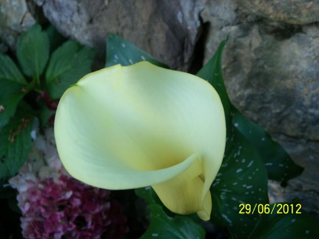 Name:  100_7369.jpg
Views: 508
Size:  30.2 KB