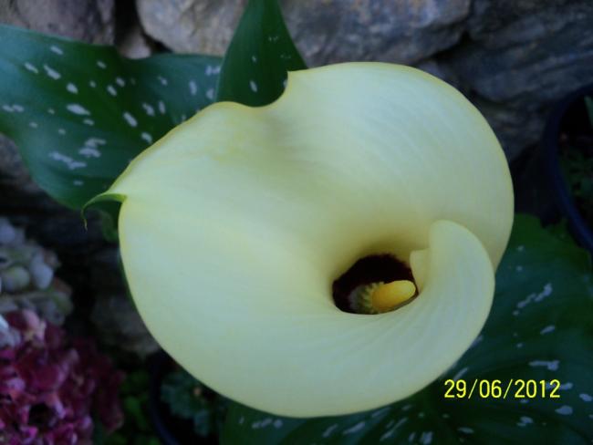 Name:  100_7378.jpg
Views: 501
Size:  25.9 KB