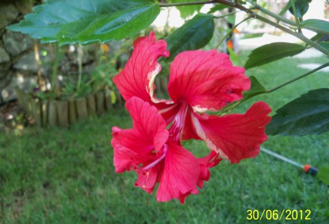 Name:  100_7610.jpg
Views: 476
Size:  41.4 KB