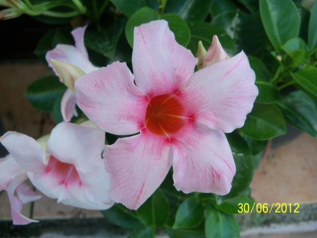 Name:  100_7629.jpg
Views: 495
Size:  33.4 KB