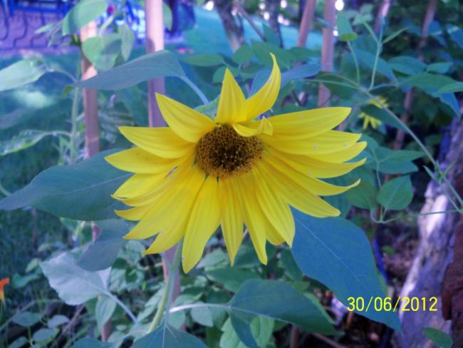 Name:  100_7412.jpg
Views: 485
Size:  45.6 KB